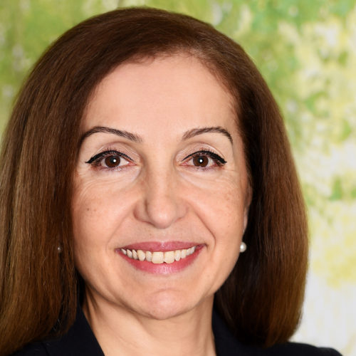 Filiz Demirel Filiz Demirel, Abgeordnete der Hamburger Bürgerschaft